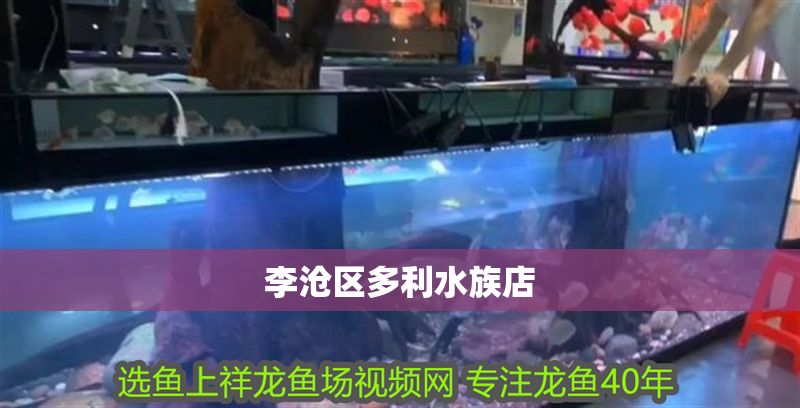 李滄區多利水族店