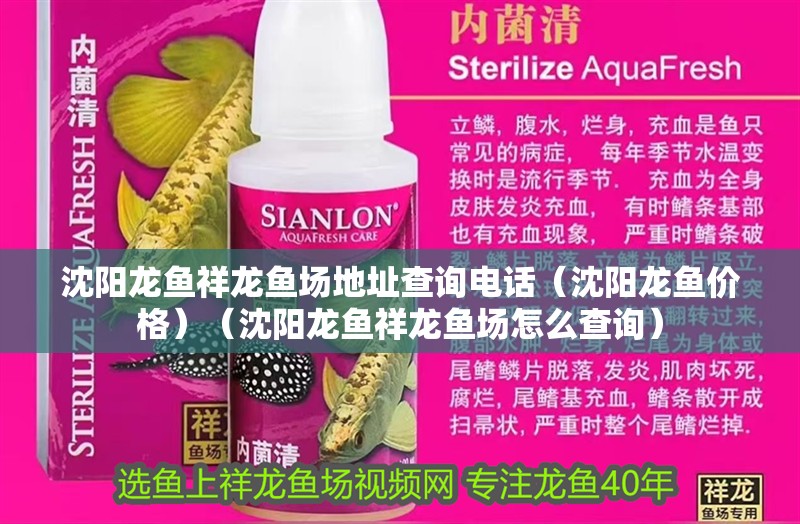 沈陽龍魚祥龍魚場地址查詢電話（沈陽龍魚價格）（沈陽龍魚祥龍魚場怎么查詢）