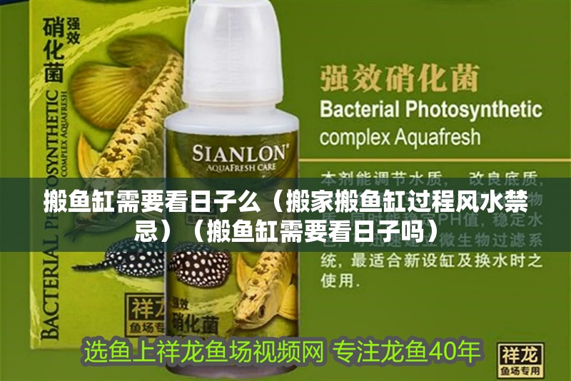 搬魚缸需要看日子么（搬家搬魚缸過程風水禁忌）（搬魚缸需要看日子嗎） 搬魚缸需要看日子么（搬家搬魚缸過程風水禁忌）（搬魚缸需要看日子嗎） 觀賞魚百科