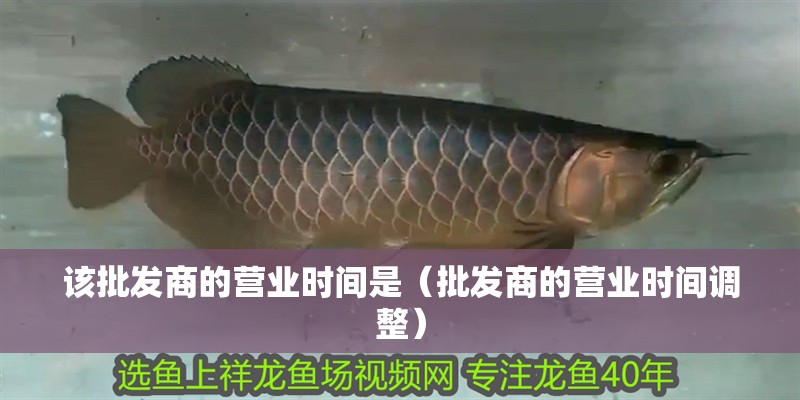 該批發商的營業時間是（批發商的營業時間調整）
