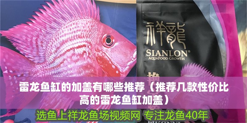 雷龍魚缸的加蓋有哪些推薦（推薦幾款性價比高的雷龍魚缸加蓋）