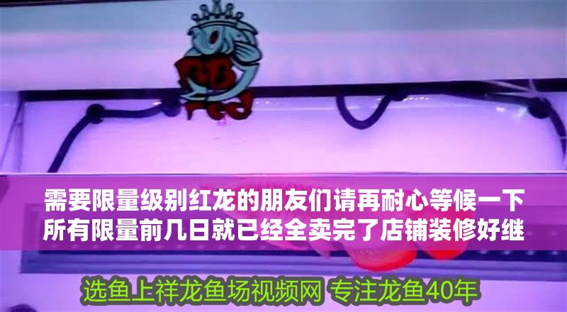 需要限量級別紅龍的朋友們請再耐心等候一下所有限量前幾日就已經全賣完了店鋪裝修好繼續回新