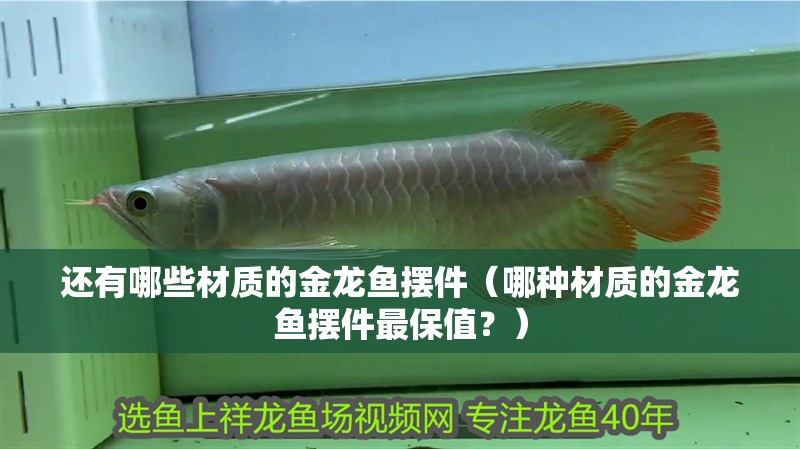 還有哪些材質(zhì)的金龍魚擺件（哪種材質(zhì)的金龍魚擺件最保值？）