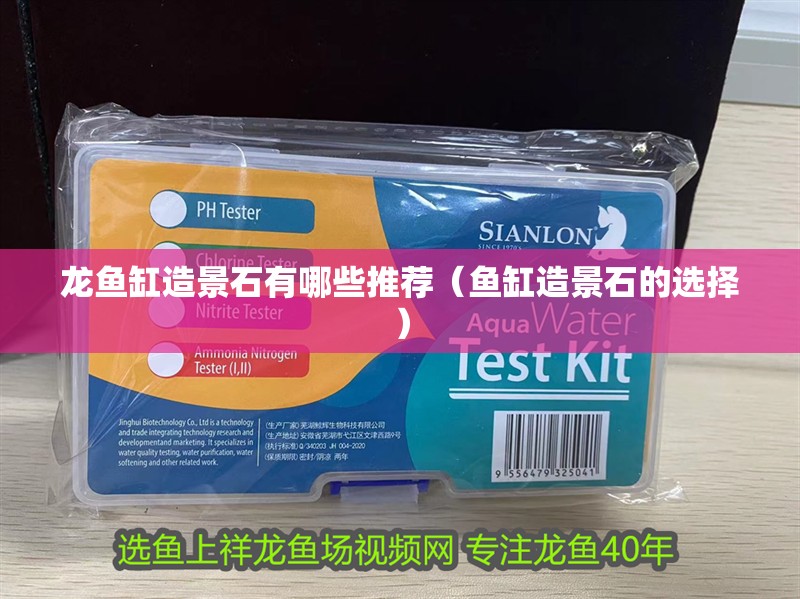 龍魚缸造景石有哪些推薦（魚缸造景石的選擇） 龍魚缸造景石有哪些推薦（魚缸造景石的選擇） 龍魚百科