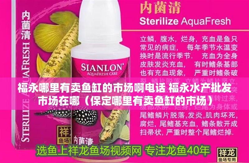 福永哪里有賣魚缸的市場啊電話 福永水產批發市場在哪（保定哪里有賣魚缸的市場） 福永哪里有賣魚缸的市場啊電話 福永水產批發市場在哪（保定哪里有賣魚缸的市場） 觀賞魚百科