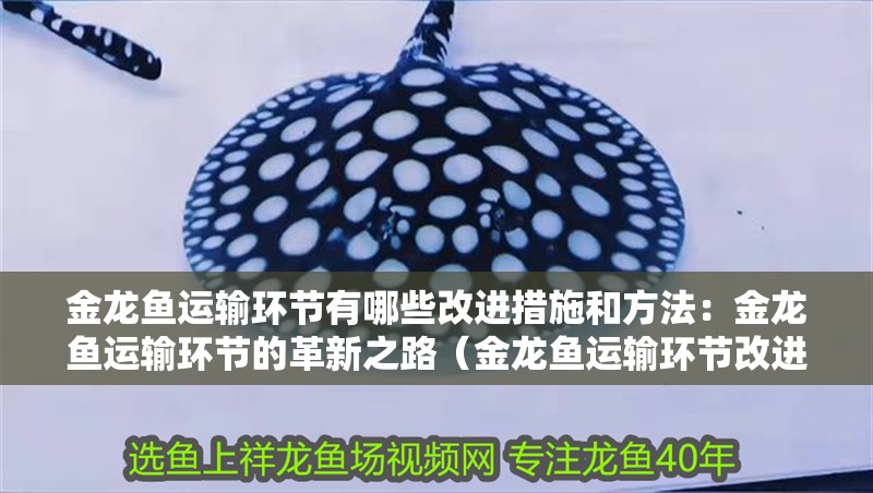 金龍魚(yú)運(yùn)輸環(huán)節(jié)有哪些改進(jìn)措施和方法：金龍魚(yú)運(yùn)輸環(huán)節(jié)的革新之路（金龍魚(yú)運(yùn)輸環(huán)節(jié)改進(jìn)）