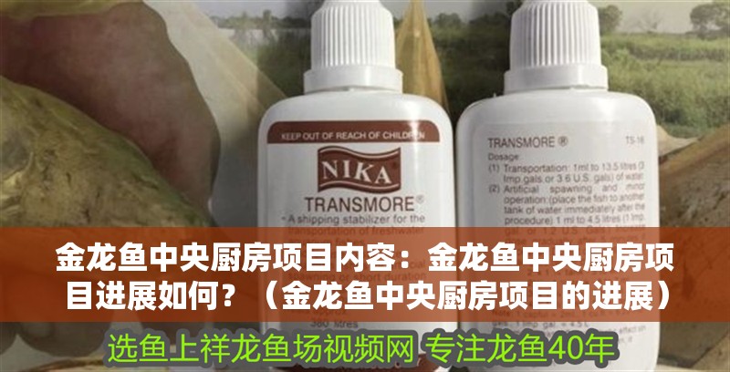 金龍魚中央廚房項目內容：金龍魚中央廚房項目進展如何？（金龍魚中央廚房項目的進展）