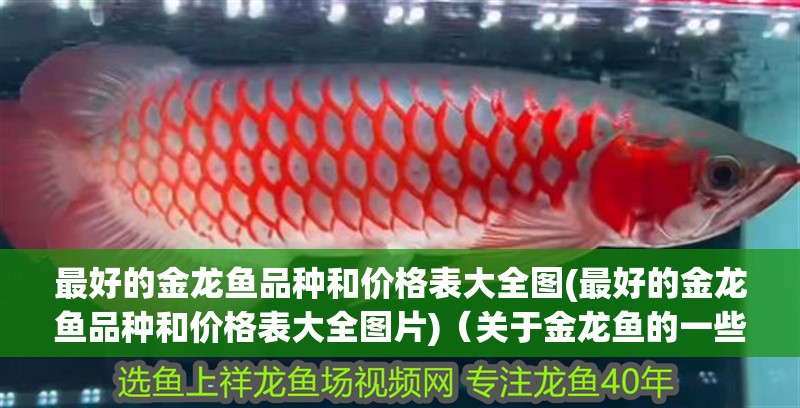 最好的金龍魚品種和價格表大全圖(最好的金龍魚品種和價格表大全圖片)（關于金龍魚的一些問題）