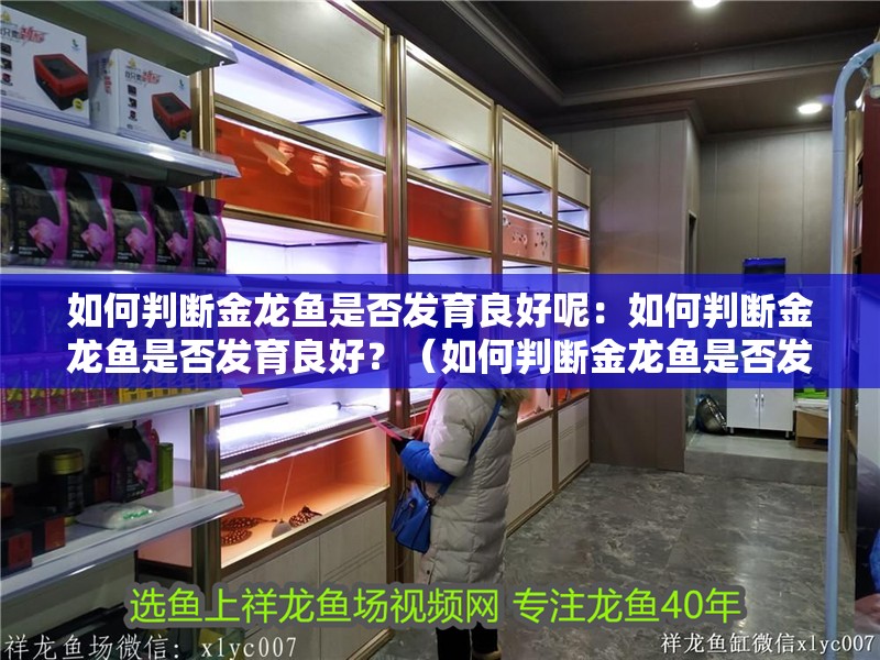 如何判斷金龍魚是否發育良好呢：如何判斷金龍魚是否發育良好？（如何判斷金龍魚是否發育良好） 如何判斷金龍魚是否發育良好呢：如何判斷金龍魚是否發育良好？（如何判斷金龍魚是否發育良好） 水族問答