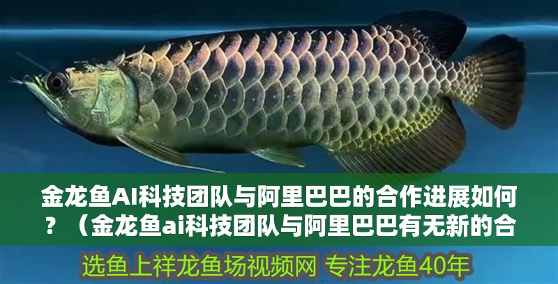 金龍魚AI科技團隊與<strong><mark>阿里</mark></strong>巴巴的合作進展如何？（金龍魚ai科技團隊與<strong><mark>阿里</mark></strong>巴巴有無新的合作計劃？）