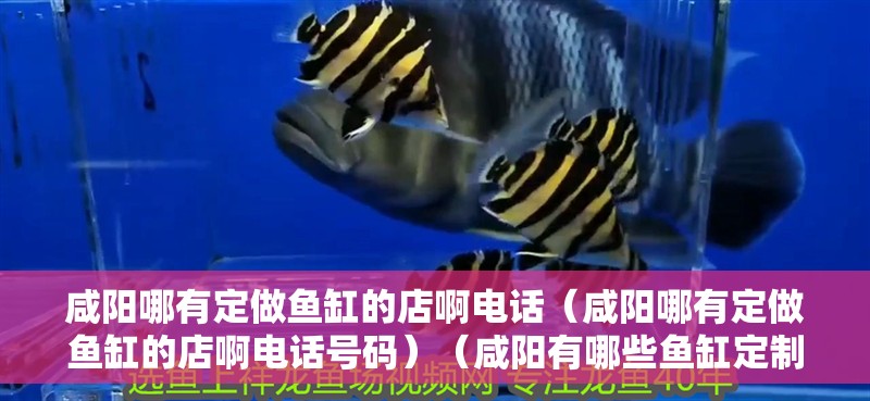 咸陽哪有定做魚缸的店啊電話（咸陽哪有定做魚缸的店啊電話號碼）（咸陽有哪些魚缸定制店）