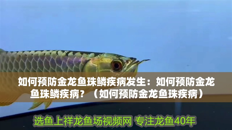如何預(yù)防金龍魚珠鱗疾病發(fā)生：如何預(yù)防金龍魚珠鱗疾病？（如何預(yù)防金龍魚珠疾病）