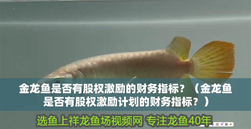 金龍魚是否有股權激勵的財務指標？（金龍魚是否有股權激勵計劃的財務指標？）