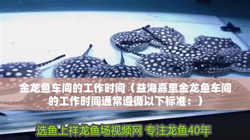 金龍魚車間的工作時(shí)間（益海嘉里金龍魚車間的工作時(shí)間通常遵循以下標(biāo)準(zhǔn)：）