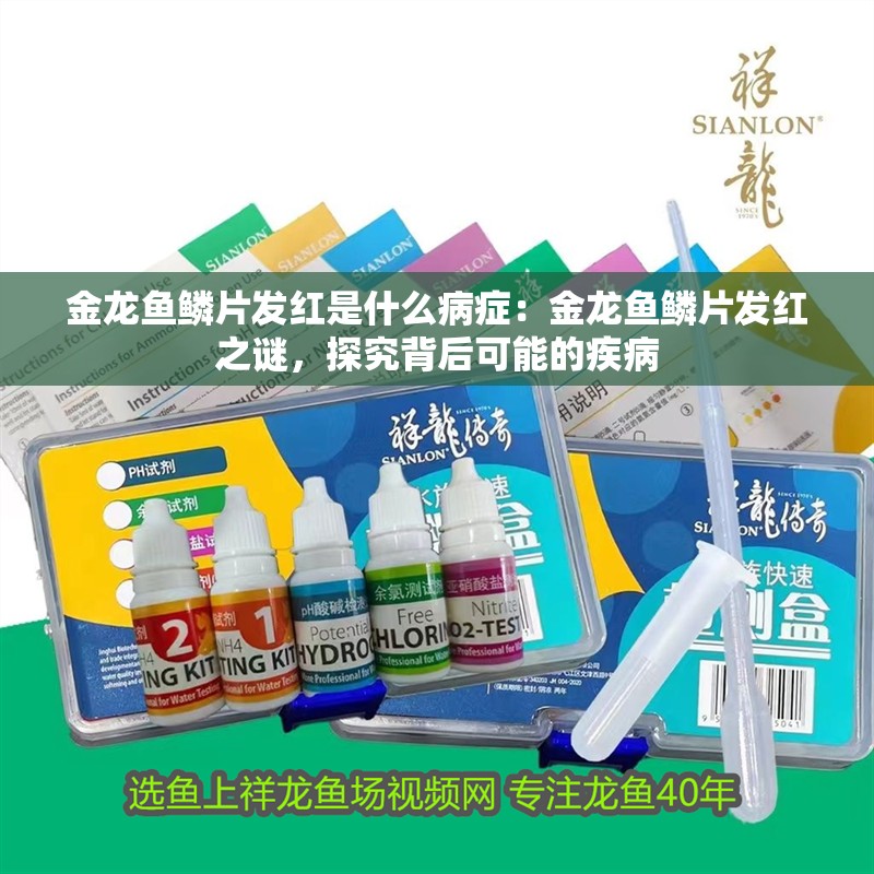 金龍魚鱗片發紅是什么病癥：金龍魚鱗片發紅之謎，探究背后可能的疾病