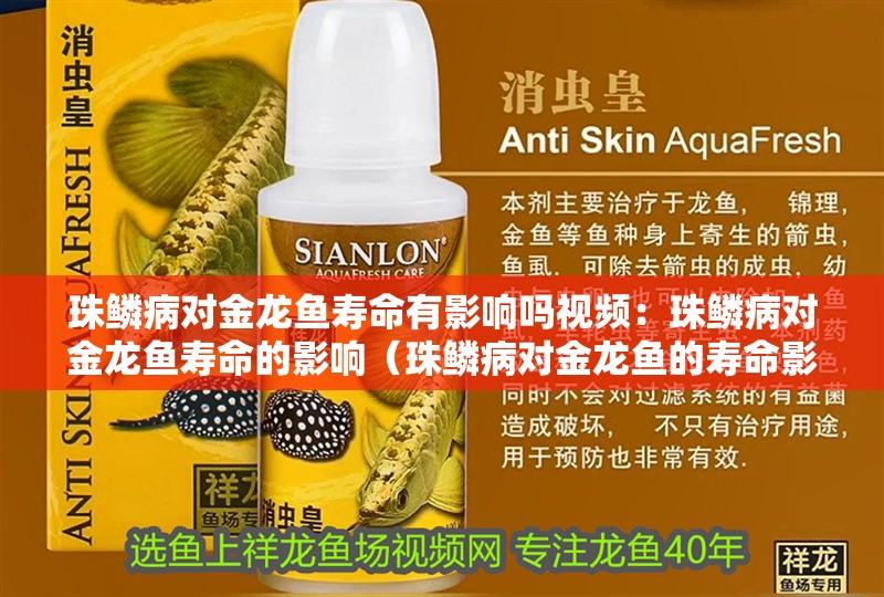 珠鱗病對金龍魚壽命有影響嗎視頻：珠鱗病對金龍魚壽命的影響（珠鱗病對金龍魚的壽命影響）