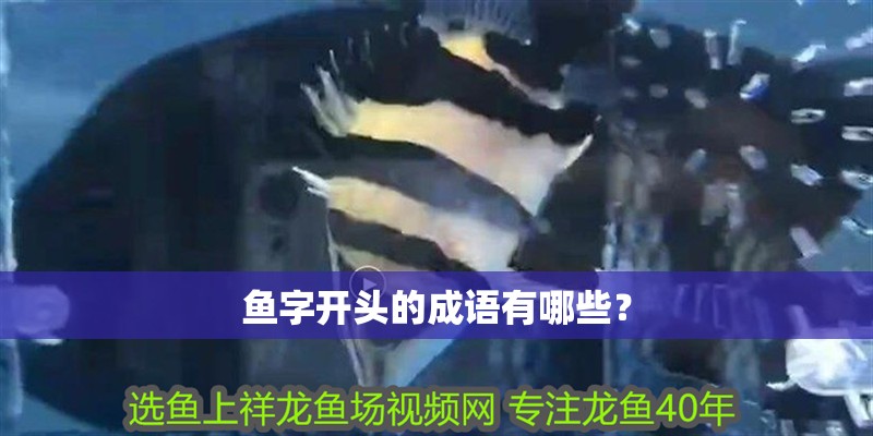 魚字開頭的成語有哪些？