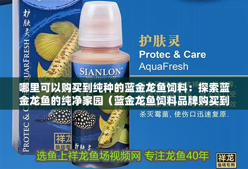 哪里可以購買到純種的藍金龍魚飼料：探索藍金龍魚的純凈家園（藍金龍魚飼料品牌購買到純種的藍金龍魚飼料品牌飼料） 哪里可以購買到純種的藍金龍魚飼料：探索藍金龍魚的純凈家園（藍金龍魚飼料品牌購買到純種的藍金龍魚飼料品牌飼料） 水族問答