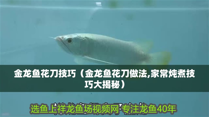 金龍魚花刀技巧（金龍魚花刀做法,家常燉煮技巧大揭秘）