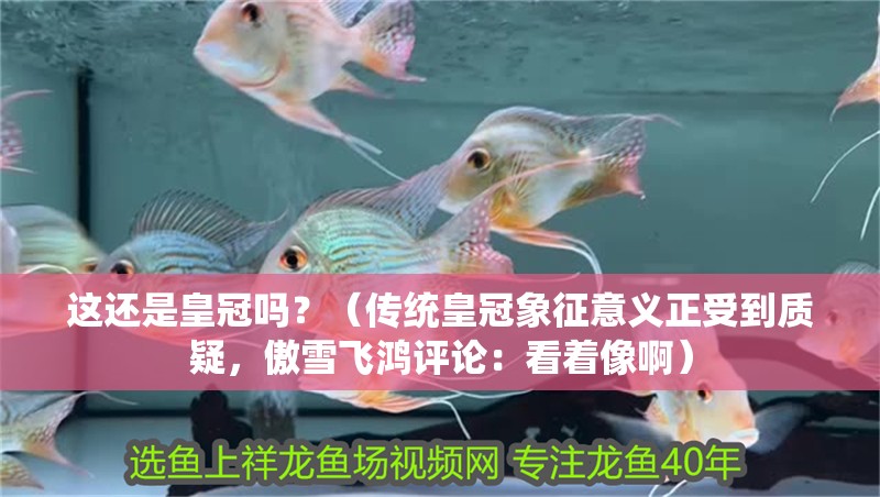 這還是皇冠嗎？（傳統(tǒng)皇冠象征意義正受到質(zhì)疑，傲雪飛鴻評論：看著像啊）