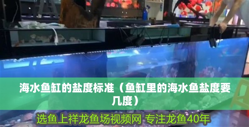 海水魚缸的鹽度標(biāo)準(zhǔn)（魚缸里的海水魚鹽度要幾度） 海水魚缸的鹽度標(biāo)準(zhǔn)（魚缸里的海水魚鹽度要幾度） 觀賞魚百科