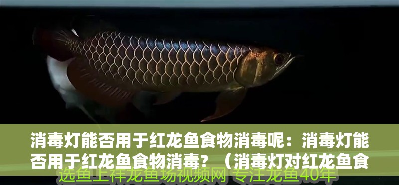 消毒燈能否用于紅龍魚食物消毒呢：消毒燈能否用于紅龍魚食物消毒？（消毒燈對紅龍魚食物消毒的影響）