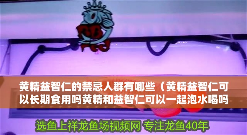 黃精益智仁的禁忌人群有哪些（黃精益智仁可以長期食用嗎黃精和益智仁可以一起泡水喝嗎）