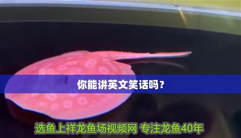 你能講英文笑話嗎？