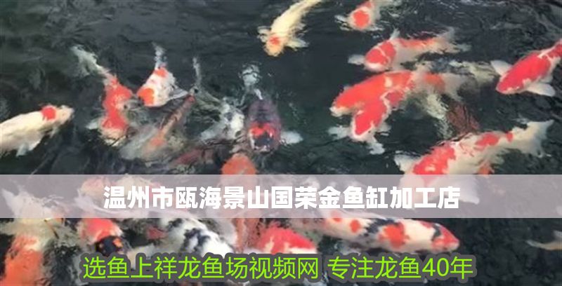 溫州市甌海景山國榮金魚缸加工店