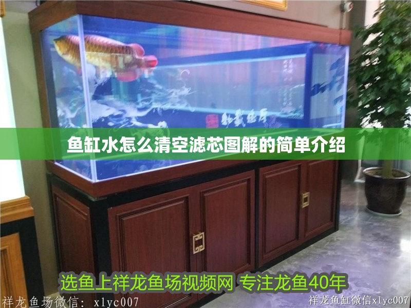 魚缸用增氧泵價格是多少:魚缸增氧機-xtrac增氧機-xtrac增氧機 魚缸水怎么清空濾芯圖解的簡單介紹 觀賞魚百科 魚缸水怎么清空濾芯圖解的簡單介紹 魚缸水怎么清空濾芯圖解的簡單介紹 觀賞魚百科