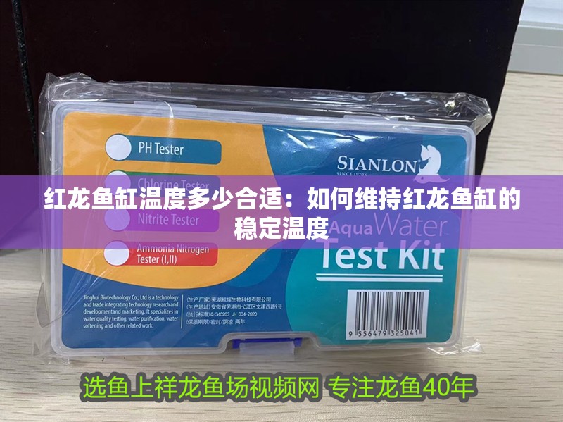 紅龍魚缸溫度多少合適：如何維持紅龍魚缸的穩定溫度
