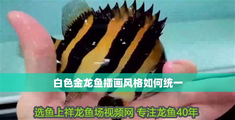 白色金龍魚插畫風格如何統(tǒng)一