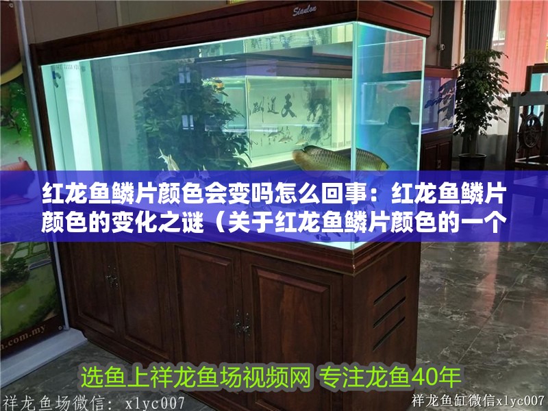 紅龍魚鱗片顏色會變嗎怎么回事：紅龍魚鱗片顏色的變化之謎（關于紅龍魚鱗片顏色的一個疑問）