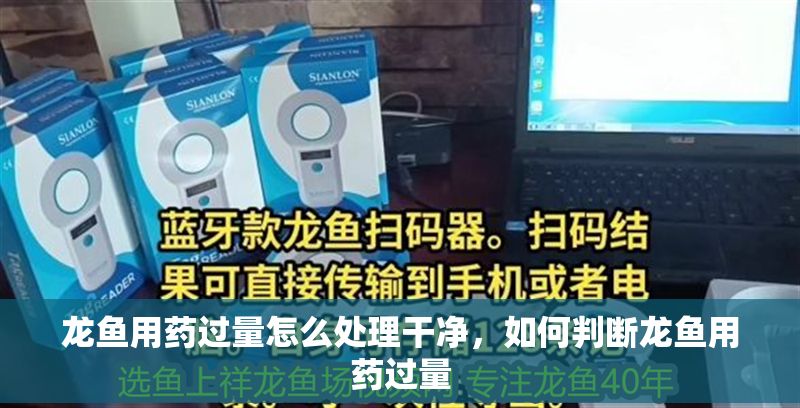 龍魚用藥過量怎么處理干凈，如何判斷龍魚用藥過量