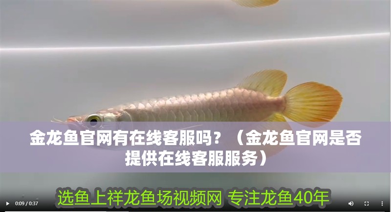 金龍魚官網有在線客服嗎？（金龍魚官網是否提供在線客服服務） 金龍魚官網有在線客服嗎？（金龍魚官網是否提供在線客服服務） 龍魚百科