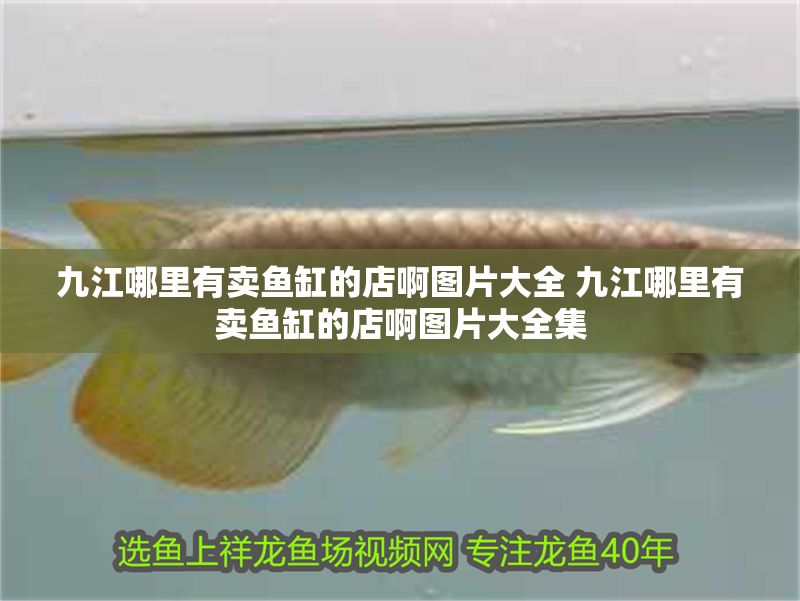 九江哪里有賣魚(yú)缸的店啊圖片大全 九江哪里有賣魚(yú)缸的店啊圖片大全集