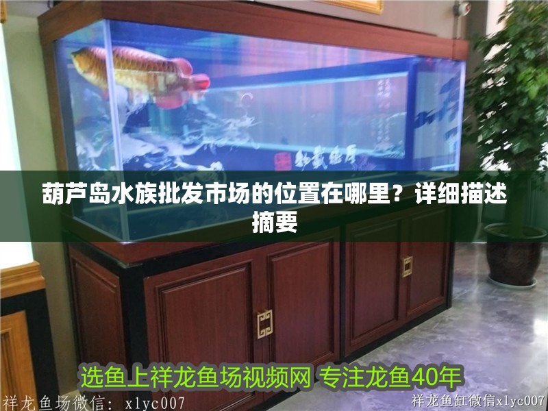 葫蘆島水族批發市場的位置在哪里？詳細描述摘要 葫蘆島水族批發市場的位置在哪里？詳細描述摘要 觀賞魚百科