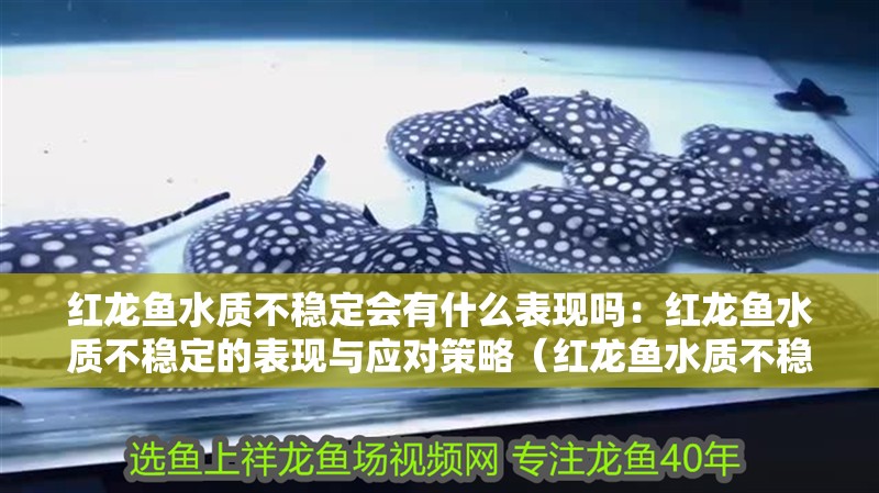 紅龍魚水質不穩定會有什么表現嗎：紅龍魚水質不穩定的表現與應對策略（紅龍魚水質不穩定的原因）