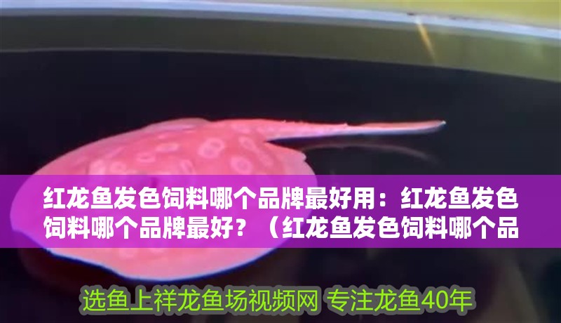 紅龍魚發(fā)色飼料哪個品牌最好用：紅龍魚發(fā)色飼料哪個品牌最好？（紅龍魚發(fā)色飼料哪個品牌最好紅龍魚發(fā)色飼料哪個品牌最好）