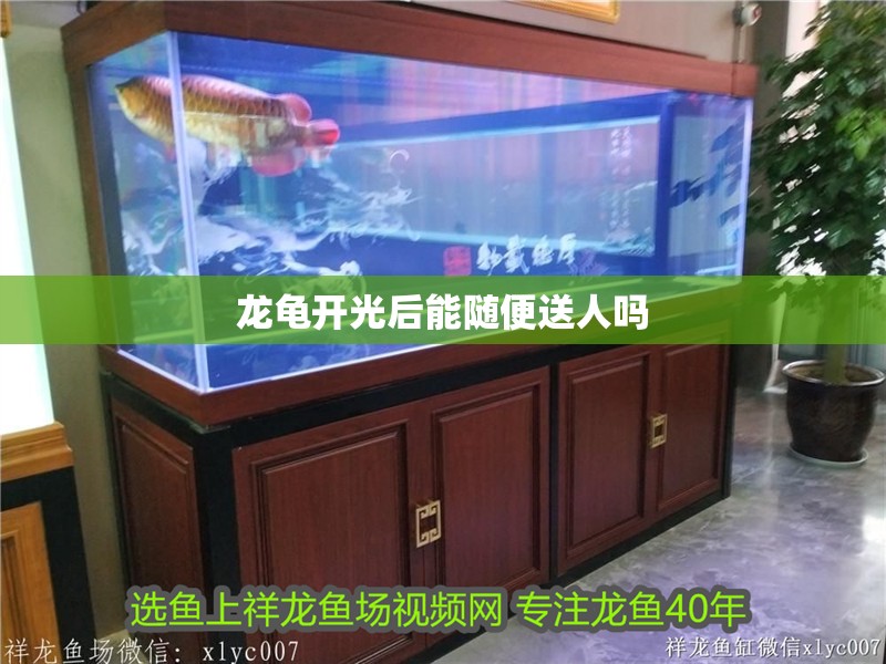 龍龜開光后能隨便送人嗎