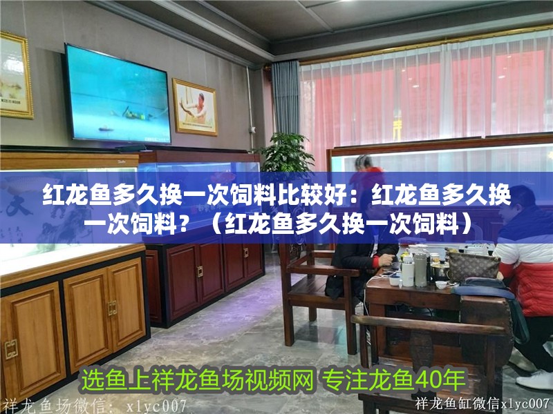 紅龍魚多久換一次飼料比較好：紅龍魚多久換一次飼料？（紅龍魚多久換一次飼料）