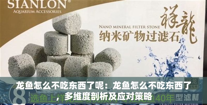 龍魚怎么不吃東西了呢：龍魚怎么不吃東西了，多維度剖析及應(yīng)對(duì)策略