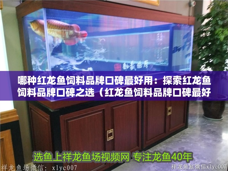 哪種紅龍魚飼料品牌口碑最好用：探索紅龍魚飼料品牌口碑之選（紅龍魚飼料品牌口碑最好的飼料品牌）