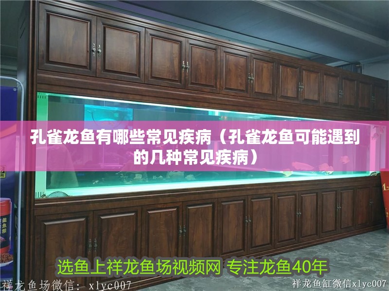 孔雀龍魚有哪些常見疾病（孔雀龍魚可能遇到的幾種常見疾病）