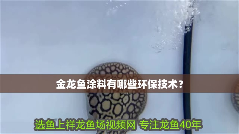 金龍魚涂料有哪些環保技術？