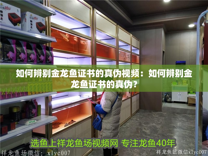 如何辨別金龍魚證書的真偽視頻：如何辨別金龍魚證書的真偽？