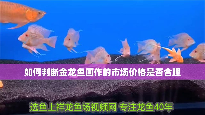 如何判斷金龍魚畫作的市場價格是否合理
