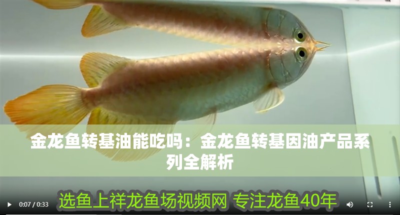 金龍魚轉基油能吃嗎：金龍魚轉基因油產品系列全解析