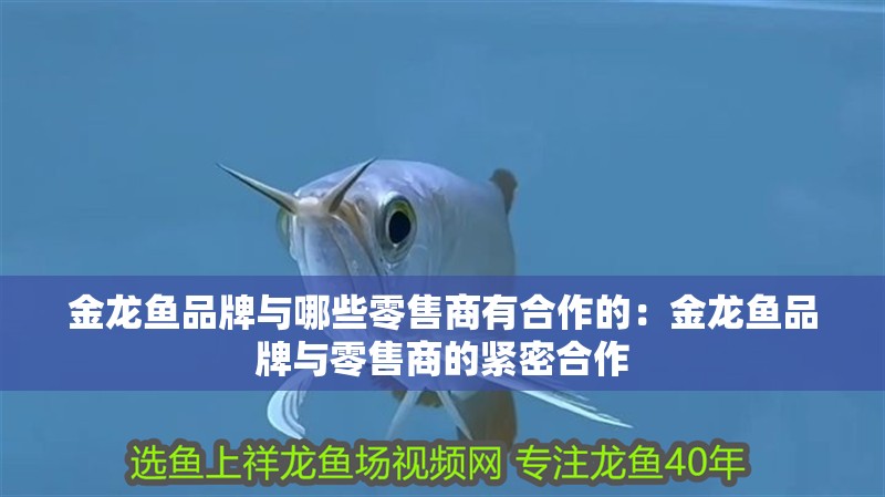 金龍魚品牌與哪些零售商有合作的：金龍魚品牌與零售商的緊密合作