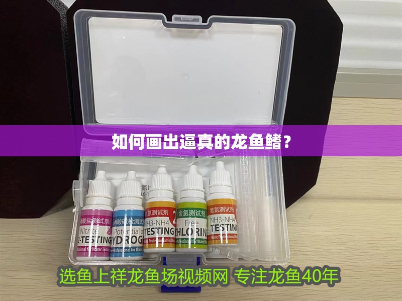 如何畫出逼真的龍魚鰭？